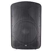 BLG BP19 15A53 Professional Plastic Speaker System