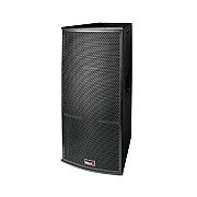 Biema T215AII Professional Passive Speaker