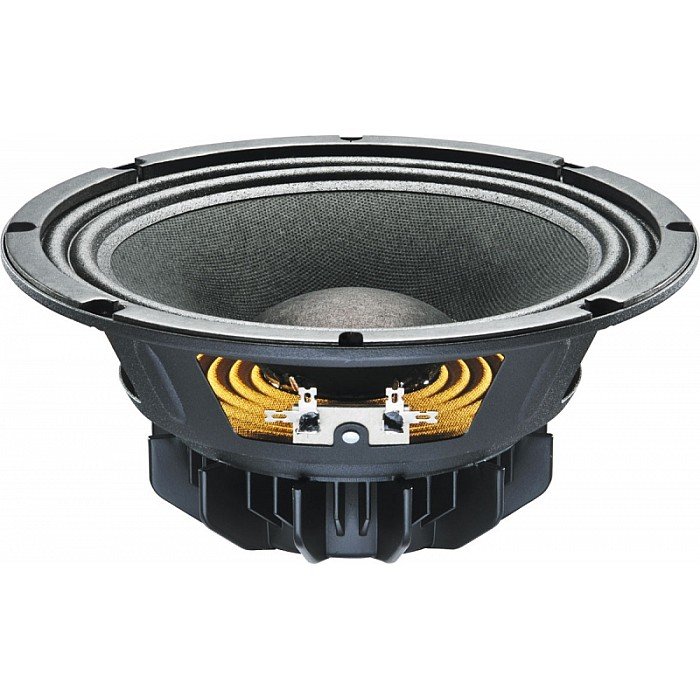 10 inch neodymium speakers