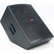 Proel EX12MP Passive Floor Monitor Loudspeaker 