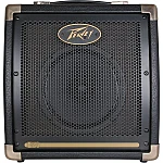 Peavey Ecoustic E20 Acoustic Combo Amp
