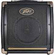 Peavey Ecoustic E20 Acoustic Combo Amp