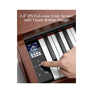 Toko Alat Musik Jual Semua Product Fully Weighted Terlengkap Original dan Termurah