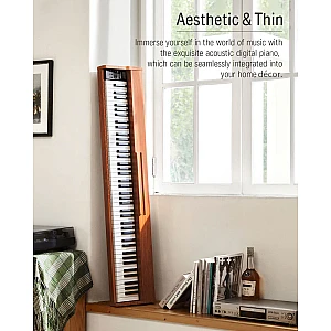 Toko Alat Musik Jual Semua Product Semi Weighted Terlengkap Original dan Termurah