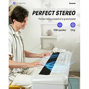 Toko Alat Musik Jual Semua Product Arranger Terlengkap Original dan Termurah