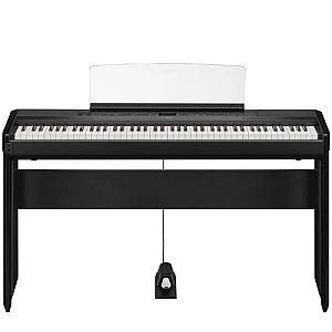 Toko Alat Musik Jual Semua Product Portable Grand Terlengkap Original dan Termurah