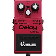 Boss DM 2W Delay Waza Craft Special Edition