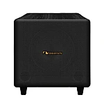 Nakamichi AVX500 12 Inch Subwoofer Home Karaoke