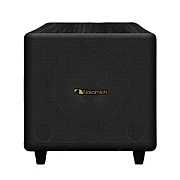 Nakamichi AVX500 12 Inch Subwoofer Home Karaoke