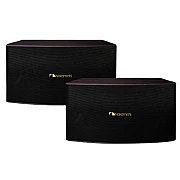 Nakamichi ES 10 Professional 10 inch Karaoke Speaker 
