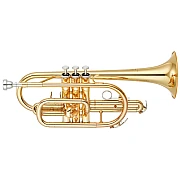 Yamaha YCR 2310III Bb Cornets, Gold lacquer