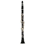 Conn Selmer Leblanc CL650DIR Clarinet Outfit