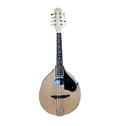 Mandolin Vienna LM1R