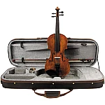 Stentor 1864 The Verona 4/4 Violin Outfit De Luxe Case
