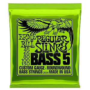 Toko Alat Musik Jual Semua Product Ernie Ball Terlengkap Original dan Termurah