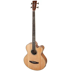 Toko Alat Musik Jual Semua Product Tanglewood Terlengkap Original dan Termurah