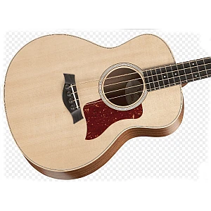 Toko Alat Musik Jual Semua Product Taylor Terlengkap Original dan Termurah