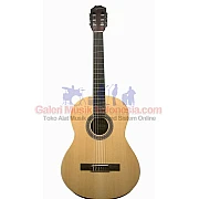 Hofmann AC100E Nylon Acoustic Electric Guitars