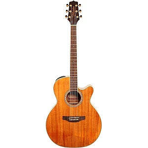 Toko Alat Musik Jual Semua Product Takamine Terlengkap Original dan Termurah