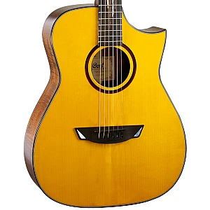 Toko Alat Musik Jual Semua Product Cort Terlengkap Original dan Termurah