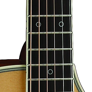 Toko Alat Musik Jual Semua Product Cort Terlengkap Original dan Termurah