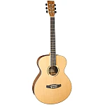 Tanglewood DBT F HR Folk, Spruce & Figured Hawaiian Rainwood Acoustic Guitar with Bag