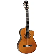 Tanglewood EM DC 5 Classical Acoustic Electric Guitar with Bag