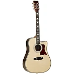 Tanglewood TW1000 HSRCE Fishman Presys Blend Cutaway Accoustic Electric Guitar w/ Case