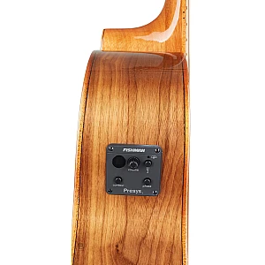 Toko Alat Musik Jual Semua Product Tanglewood Terlengkap Original dan Termurah