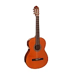 Cort AC100 DX YT Acoustic Guitar