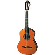 Washburn C40 Cadiz Classical Guitar