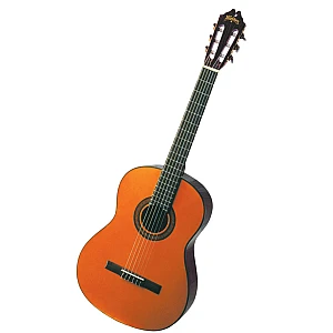 Toko Alat Musik Jual Semua Product Washburn Terlengkap Original dan Termurah