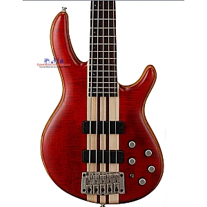 Toko Alat Musik Jual Semua Product Cort Terlengkap Original dan Termurah