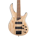 Cort Artisan B4 Element OPN Electric Bass Guitar