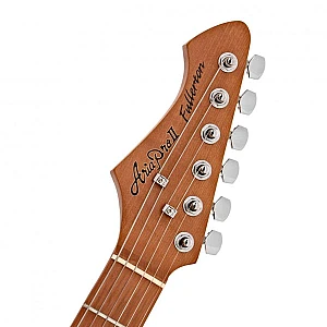 Toko Alat Musik Jual Semua Product Aria Pro Terlengkap Original dan Termurah