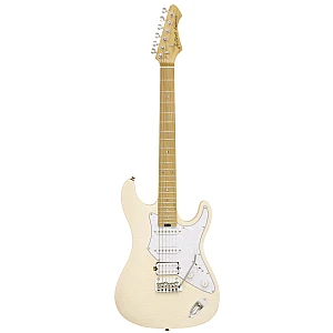 Toko Alat Musik Jual Semua Product Aria Pro Terlengkap Original dan Termurah