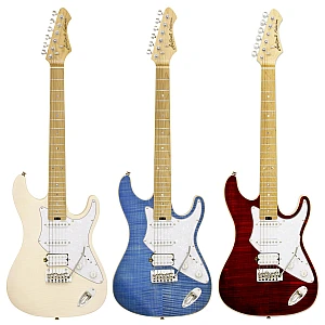 Toko Alat Musik Jual Semua Product Aria Pro Terlengkap Original dan Termurah