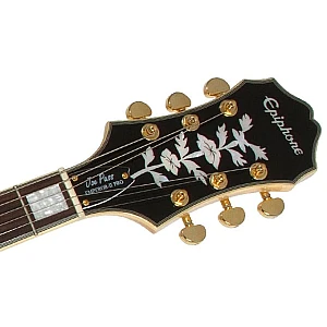 Toko Alat Musik Jual Semua Product Epiphone Terlengkap Original dan Termurah