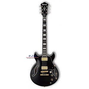 Toko Alat Musik Jual Semua Product Ibanez Terlengkap Original dan Termurah