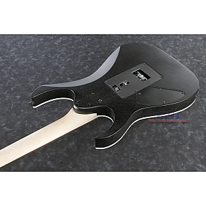 Toko Alat Musik Jual Semua Product Ibanez Terlengkap Original dan Termurah