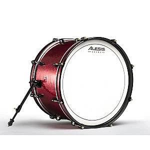 Toko Alat Musik Jual Semua Product Alesis Terlengkap Original dan Termurah