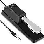 Donner DSP 001 Sustain Pedal for Keyboard and Digital Piano