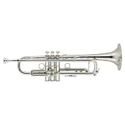 Bach LR190S43B Professional Model Bb Trumpet