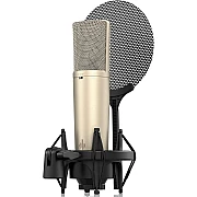 Donner DC 87 Studio Condenser Microphone with Two Diaphragms for Podcast and Recording