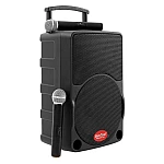 Baretone MAX10C 10 inch Portable Wireless Speaker