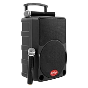 Baretone MAX10C 10 inch Portable Wireless Speaker