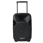 Baretone MAX12AL 12 inch Portable Wireless Speaker