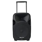 Baretone MAX12AL 12 inch Portable Wireless Speaker