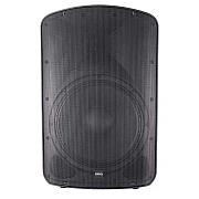BLG BP19 15A53 Professional Plastic Speaker System