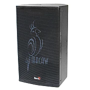 Biema K12 Professional Karaoke Speaker